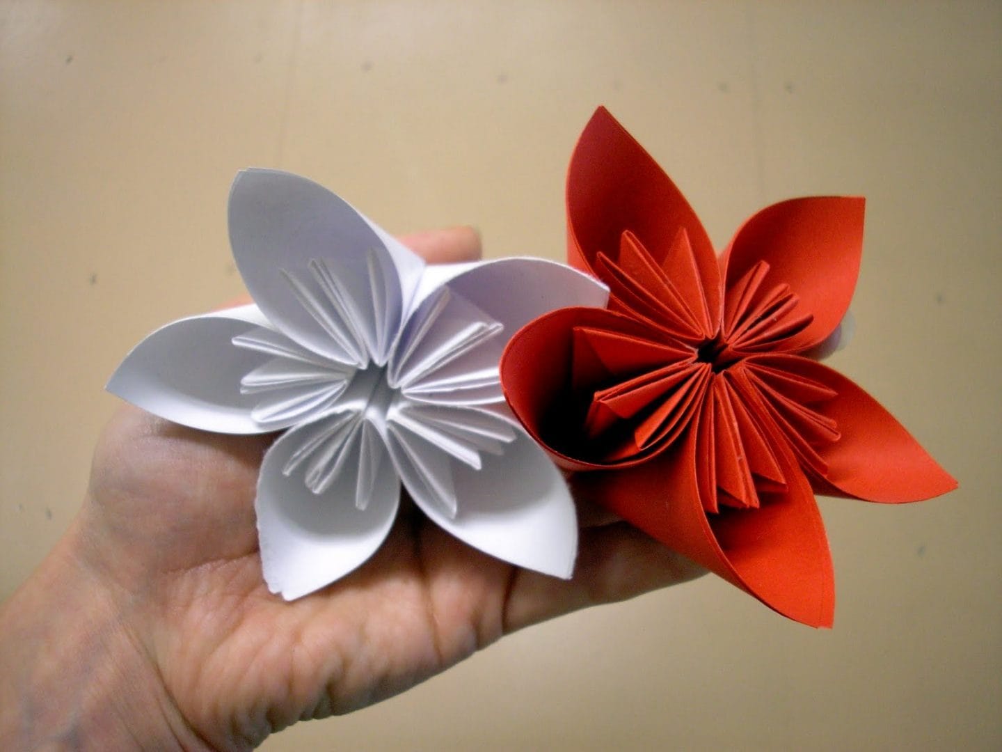 Flores origami Imágenes y fotos