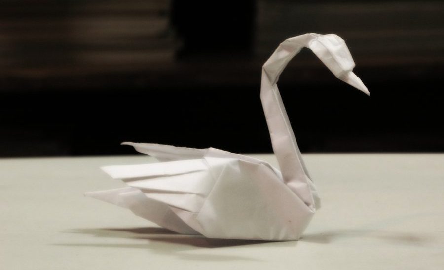 Cisnes de papel